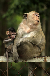 Similar image 6328071