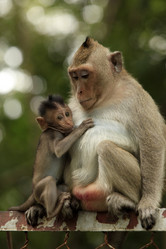 Similar image 6328081