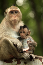 Similar image 6328082