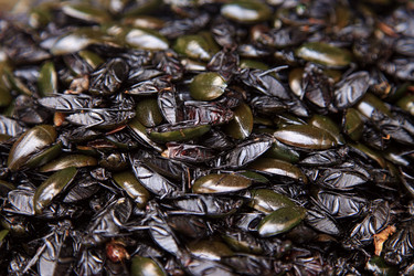 Similar image 6328084