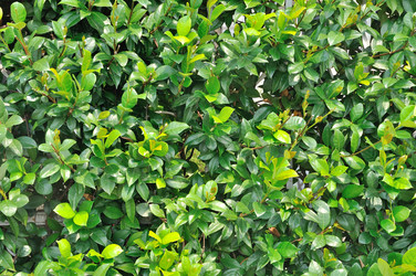 Similar image 6328114