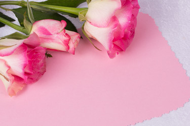 Similar image 6328154