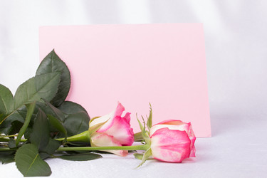 Similar image 6328158