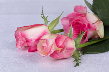 Similar image 6328161