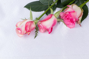 Similar image 6328163