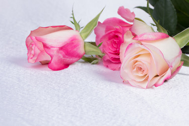 Similar image 6328165