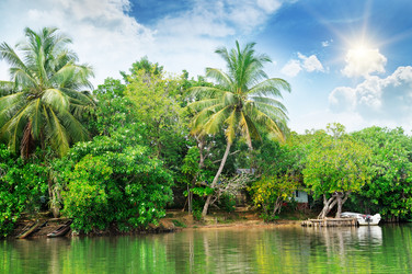 Similar image 6328468