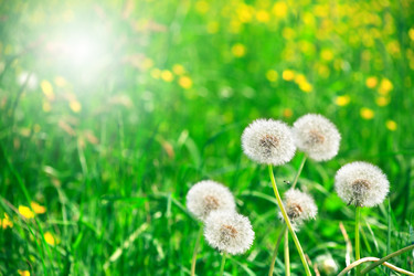 Similar image 6328861