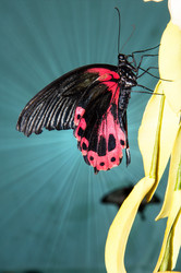 Similar image 6329264