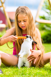 Similar image 6329617