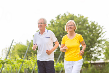 Similar image 6329665