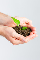 Similar image 6329783