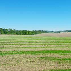 Similar image 6329901