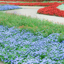 Similar image 6329902