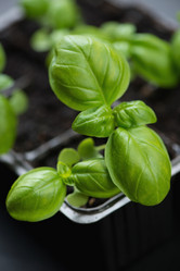 Similar image 6329947