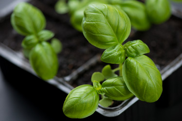 Similar image 6329958