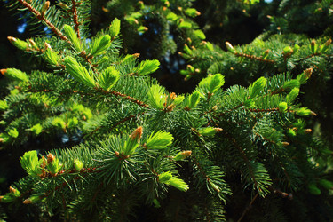 Similar image 6330280