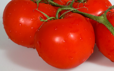 Similar image 6330290