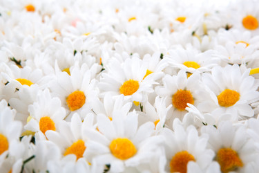 Similar image 6330369