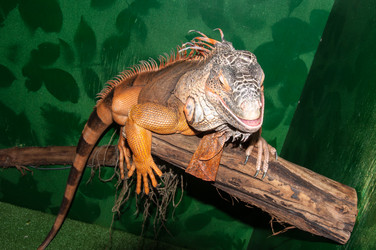 Similar image 6330418