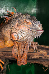 Similar image 6330420