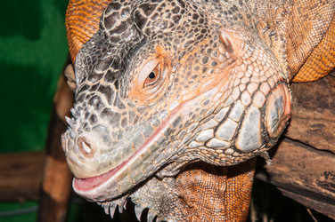 Similar image 6330421