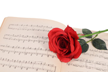 Similar image 6330437