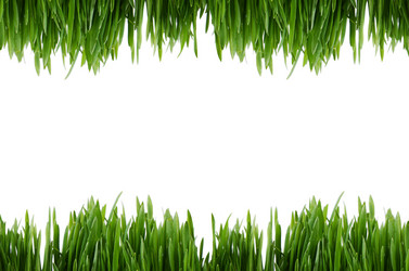 Similar image 6330438