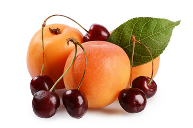 Similar image 6330441