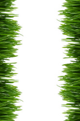 Similar image 6330463