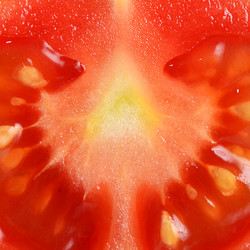 Similar image 6330490