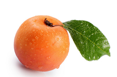 Similar image 6330501