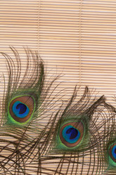 Similar image 6330511