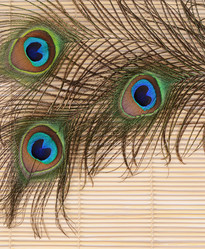 Similar image 6330516