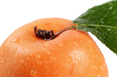 Similar image 6330519