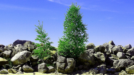 Similar image 6330527