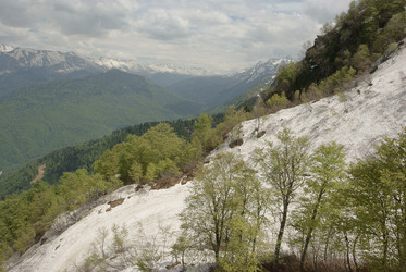 Similar image 6330535