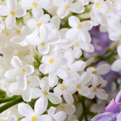 Similar image 6330588