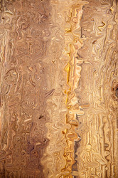 Similar image 6330746