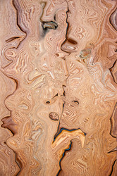 Similar image 6330749