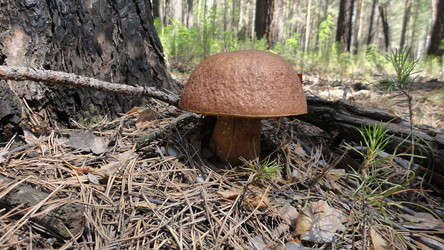 Similar image 6330776