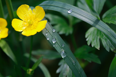 Similar image 6330808