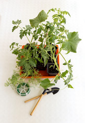 Similar image 6330839