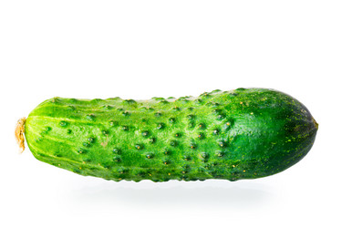 Similar image 6330917