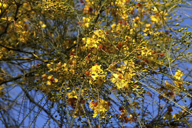 Similar image 6331085