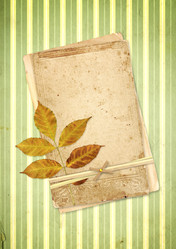 Similar image 6331106