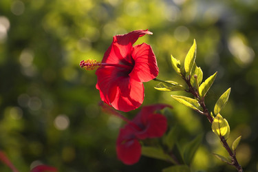 Similar image 6331119