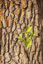 Similar image 6331129