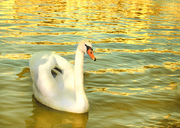 Similar image 6331137