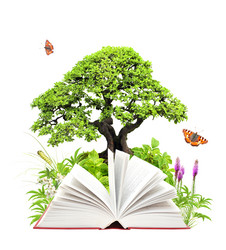 Similar image 6331162